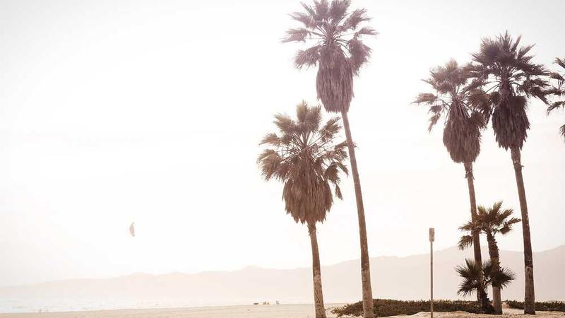 好看的国产电视剧推荐几部 前十名