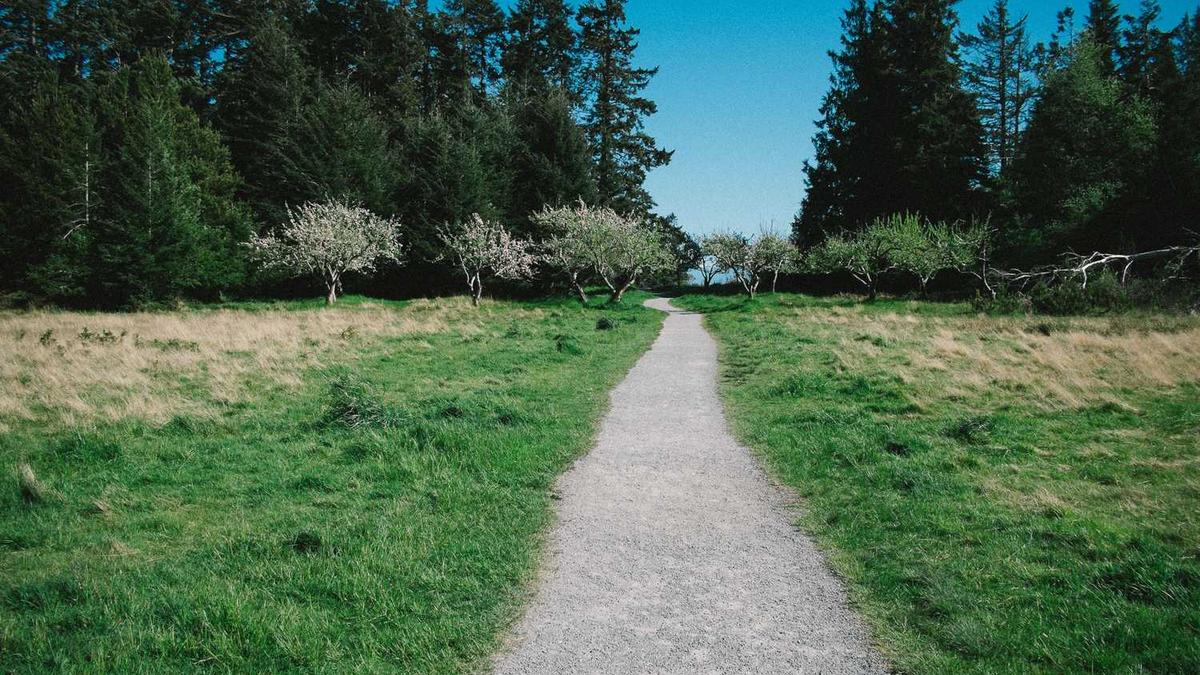 请问小说结尾高义,白洁,孙倩,王申怎么样了?