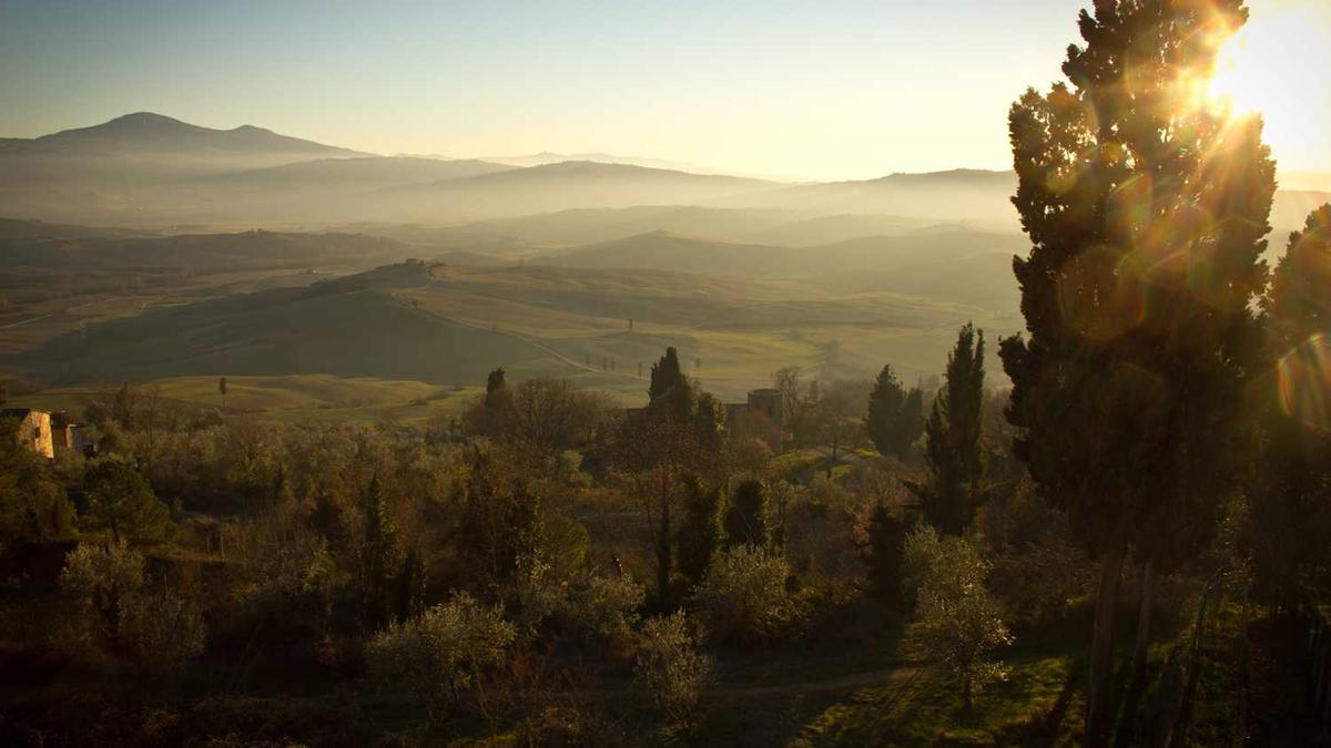 请问小说结尾高义,白洁,孙倩,王申怎么样了?