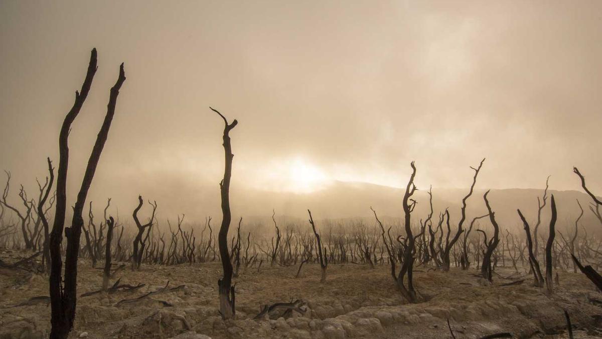 医学包括哪些专业?
