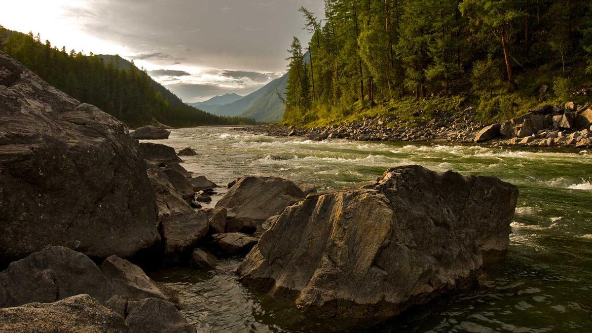 神秘顾客公司找谁？