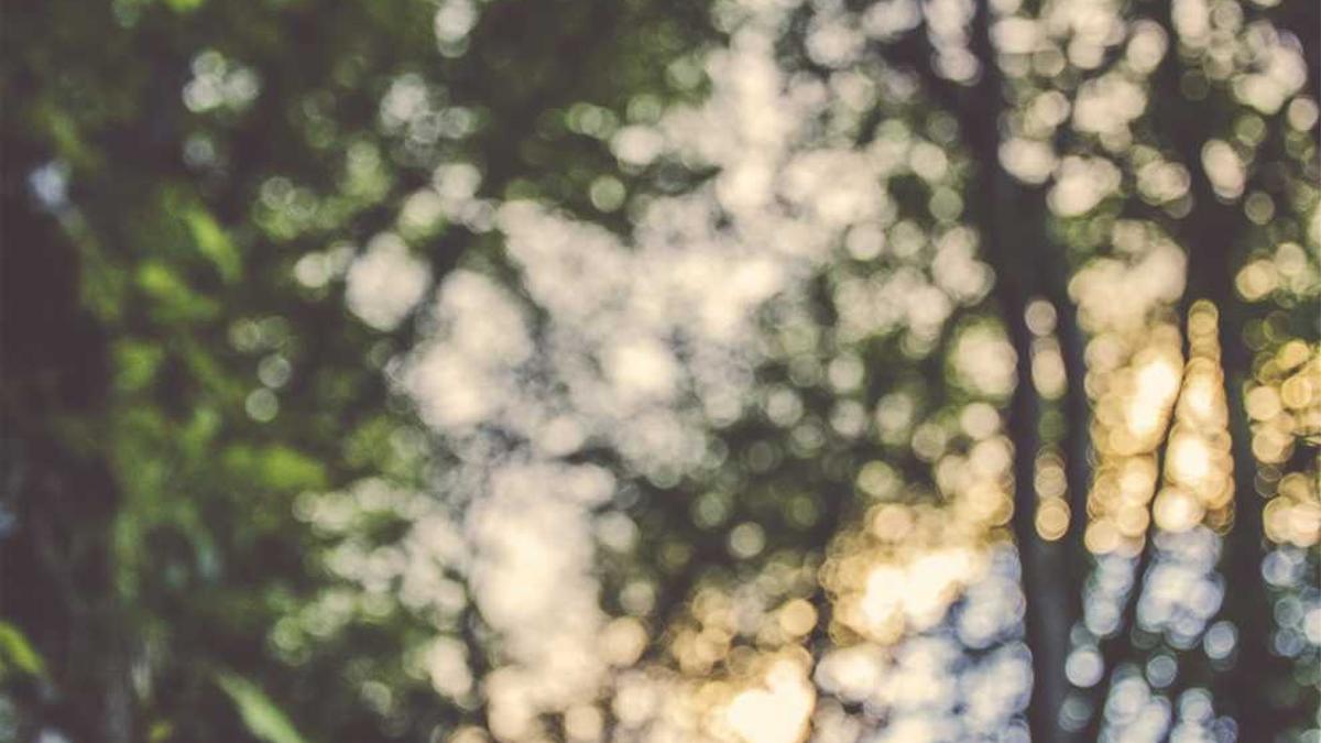 老婆在按摩师那按过摩,老婆的老公认为老婆好了,也就不用去了,但过了...