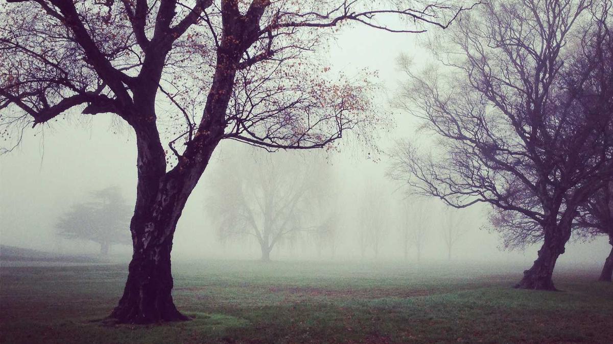 "生活不止苟且,还有诗和远方"出自哪里?