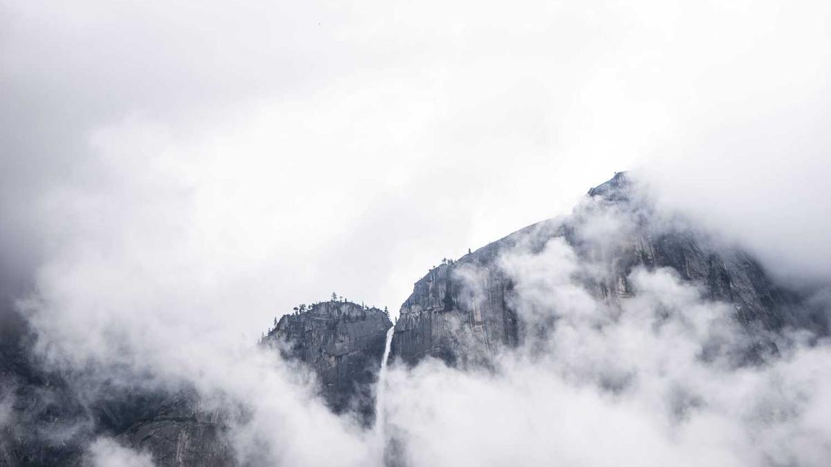 上海哪里租公寓