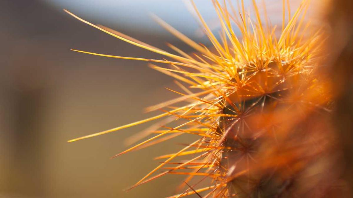 梦幻手游时光宝盒攻略