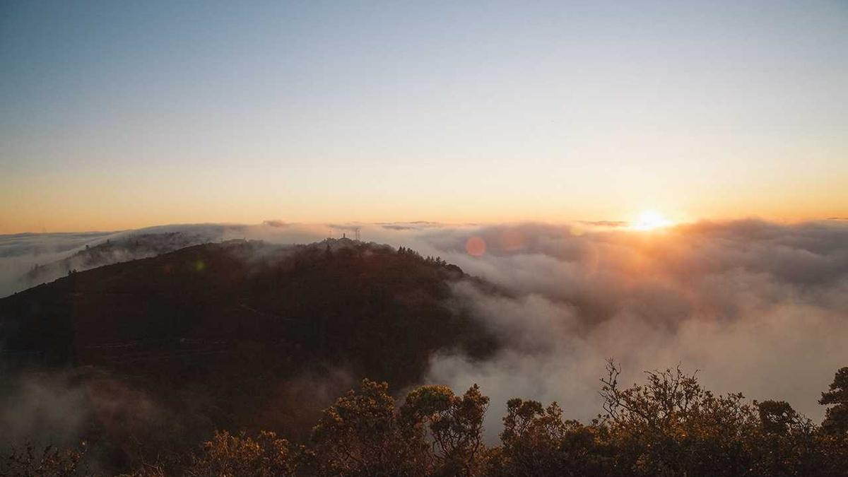 清江光绪元宝铜币十文值钱吗