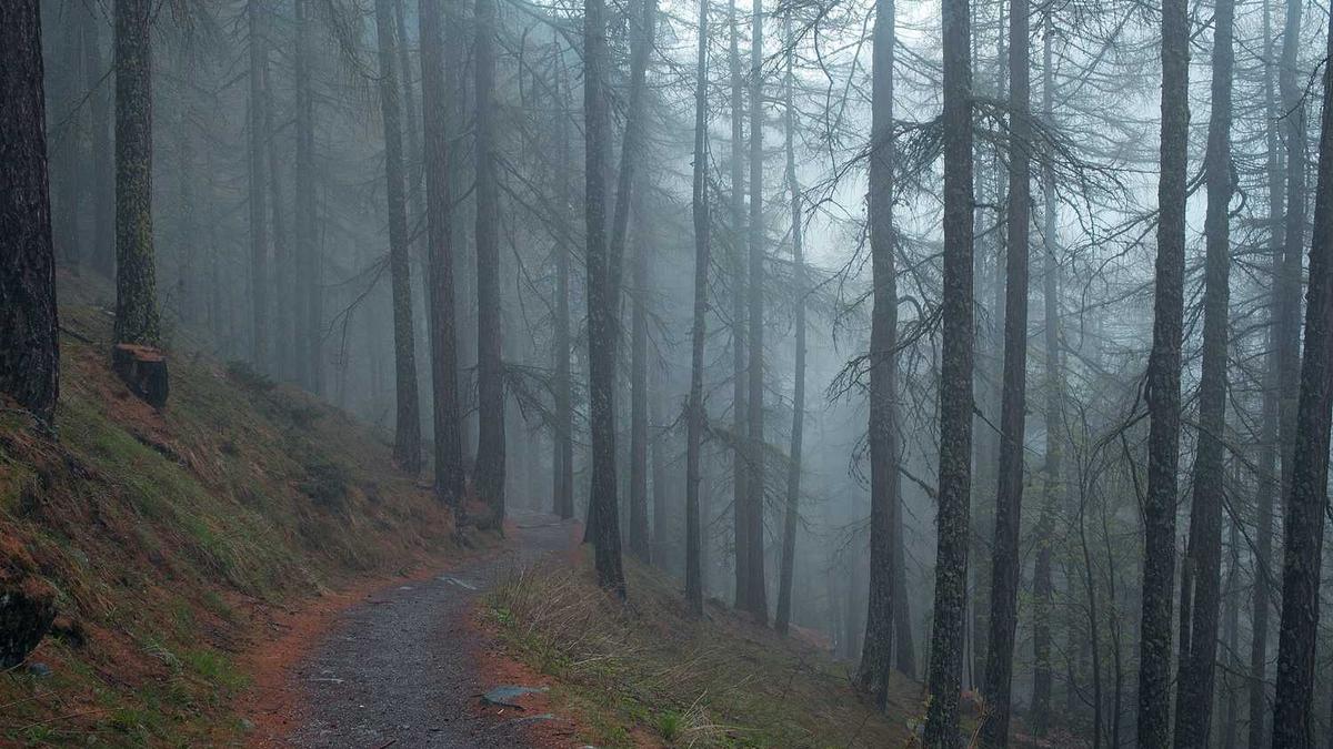 他当兵去了,他说他去找了小姐,染上了梅毒?他说的是真的吗?我很爱他...