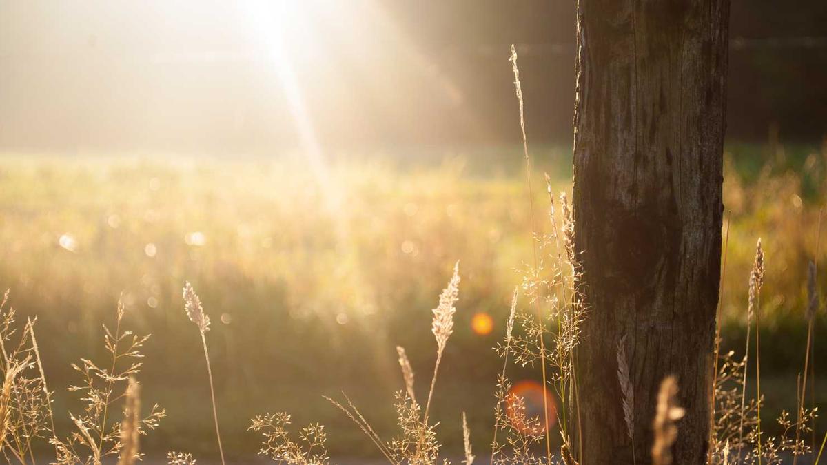 朋友去叫了一次小姐,然后用手抓小弟弟,有点痒是什么毛病