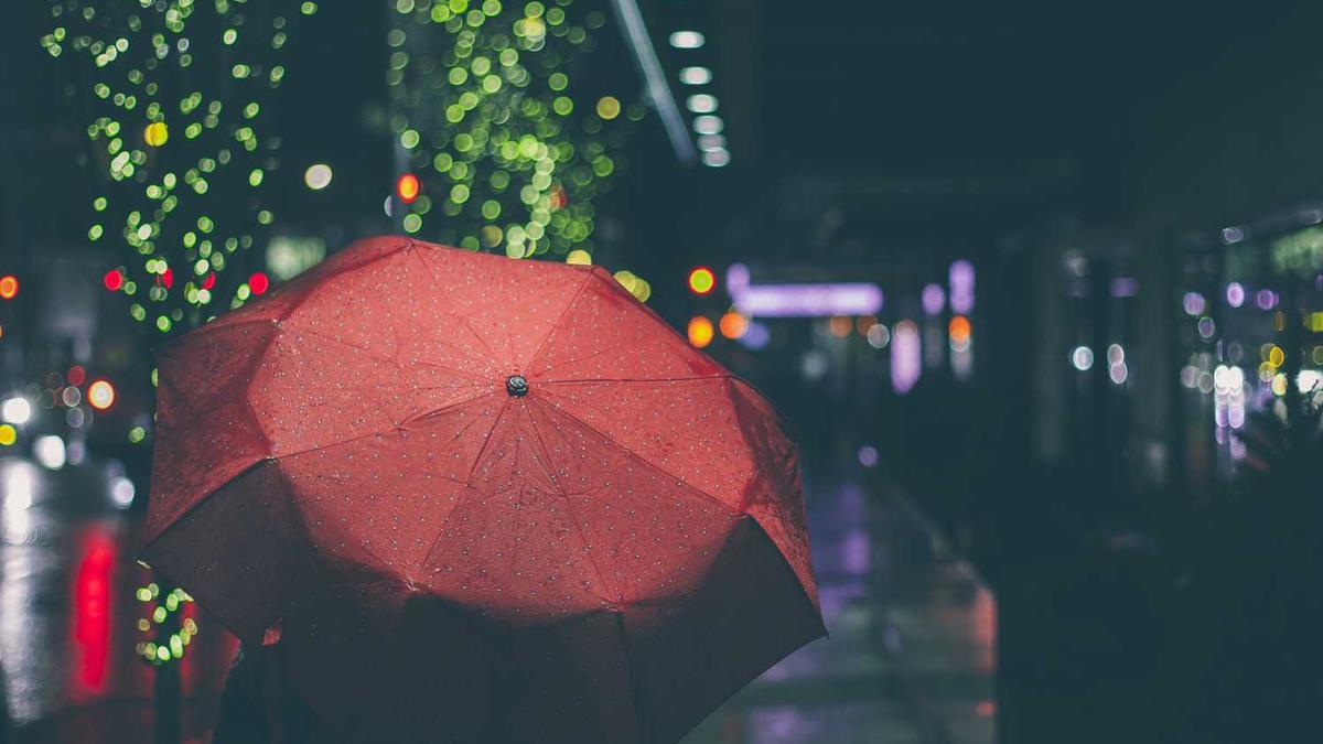 2025第20周:张小花、千桦尽落、一片雪饼、白雨涵等38位作者新书_百度知 ...