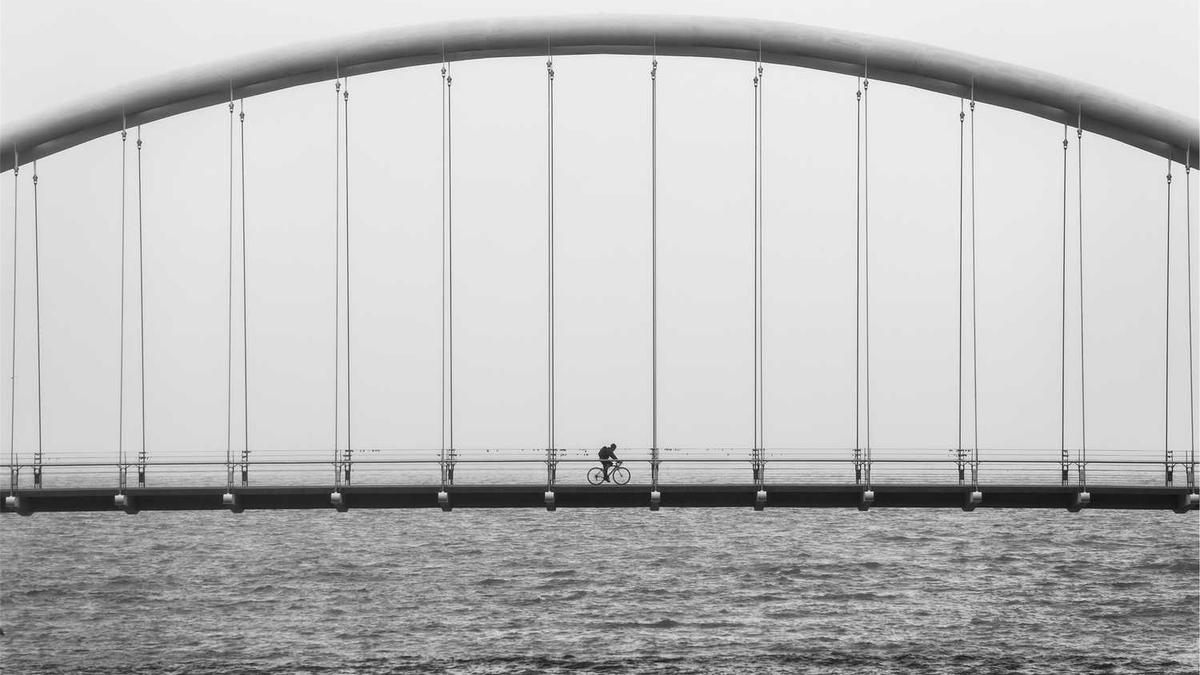 2025年是什么年 金木水火土