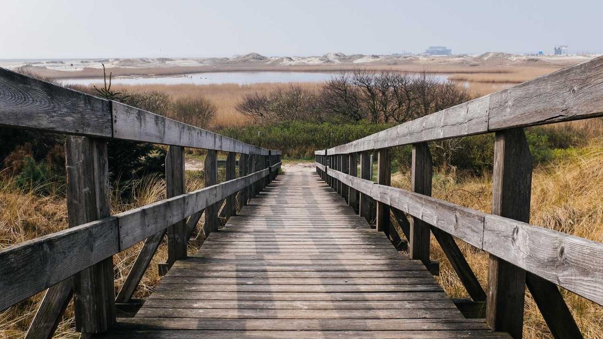 经常喝茶可以降血糖吗