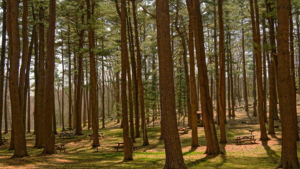 按摩椅按摩对身体有什么好处和坏处