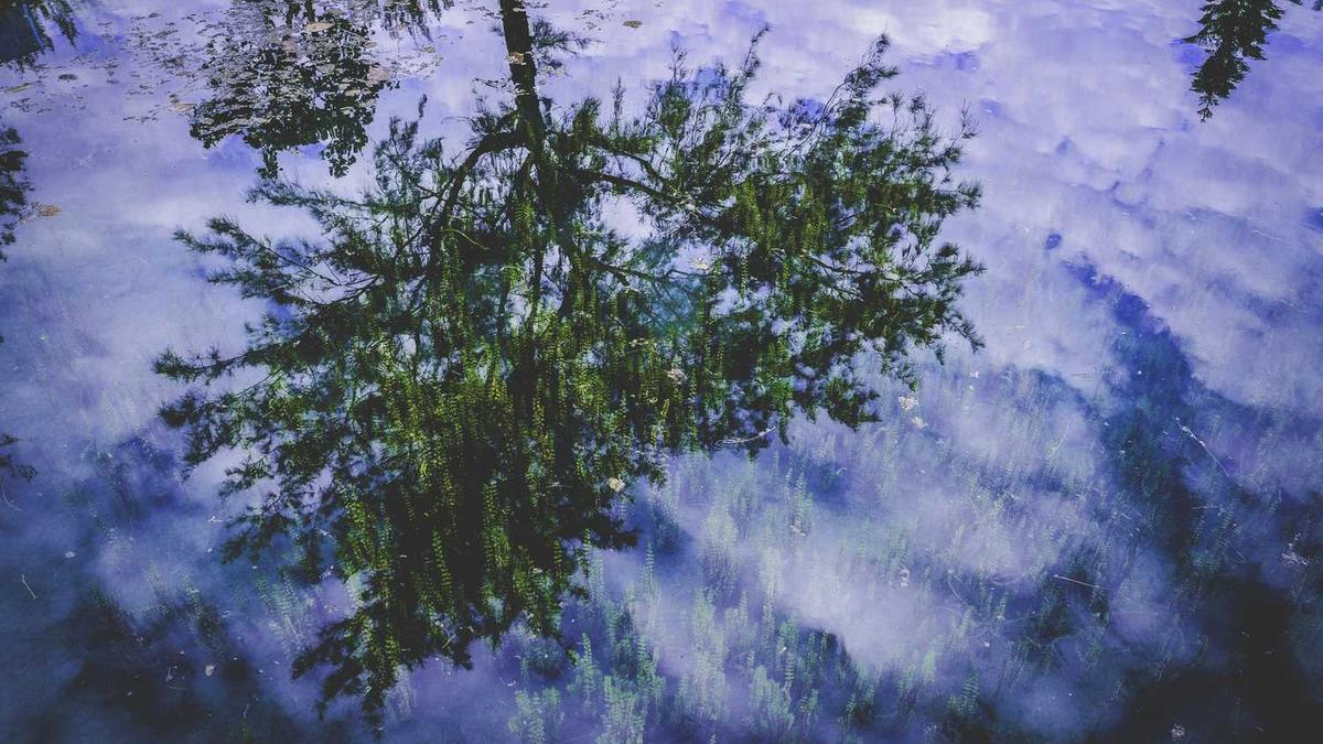 东极岛旅游攻略