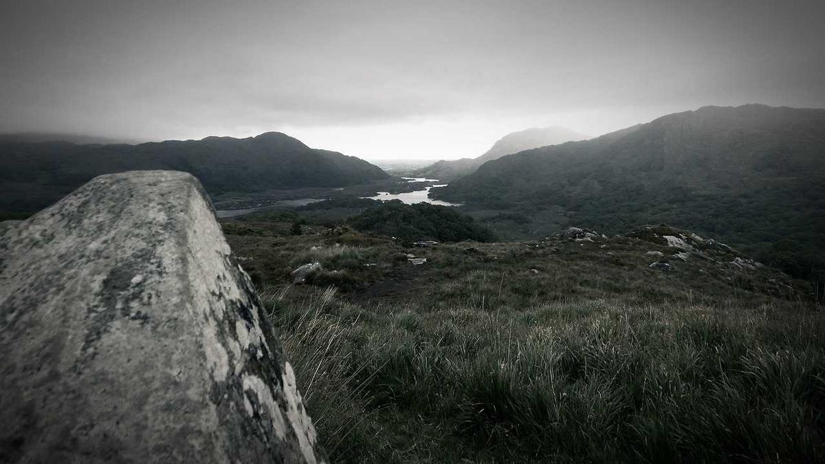 每天坚持喝茶能减肥吗