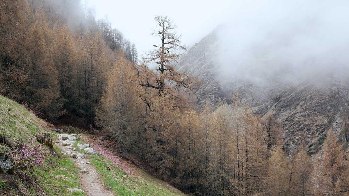 9月18日上映<731>电影在那个电视台上映