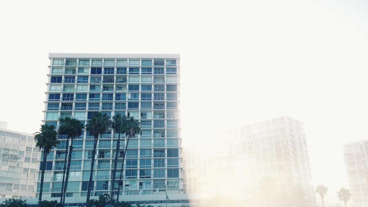 2025年一月属什么