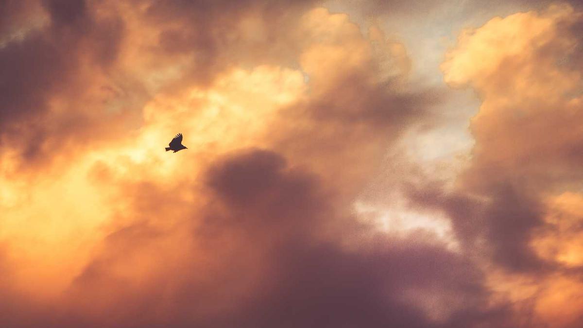 各位网络大虾们,请教几个流行用语。