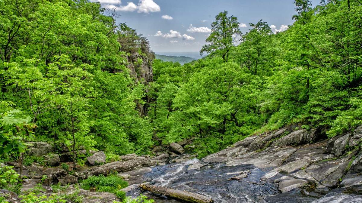 松下按摩椅EP-MA21-H492怎么样?全新升级3D机械手