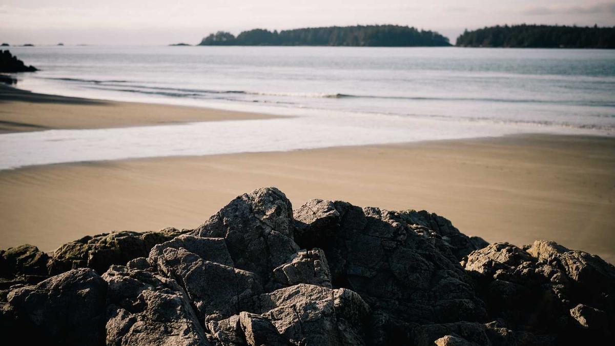 如何快速落户上海