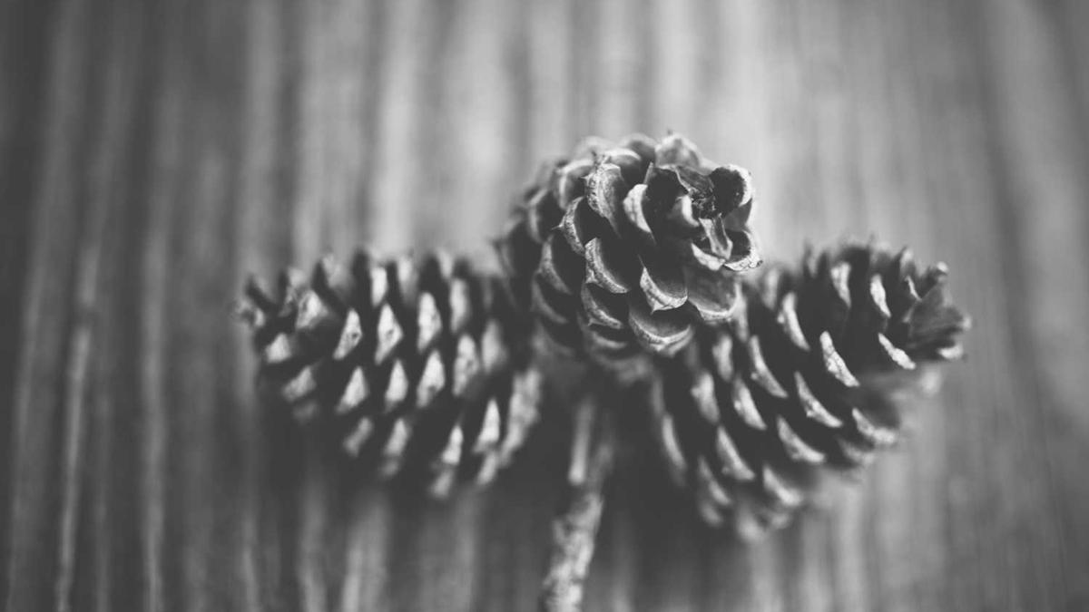 教师的“工资条”火了,公务员不淡定了