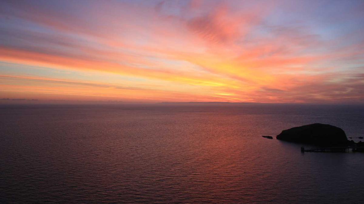 颈椎按摩器什么牌子的质量好?