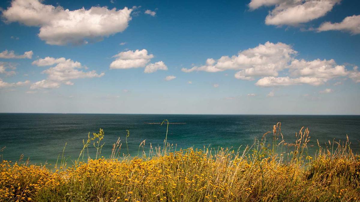 Baby带儿子小海绵打入上海顶级富婆圈。你怎么看?