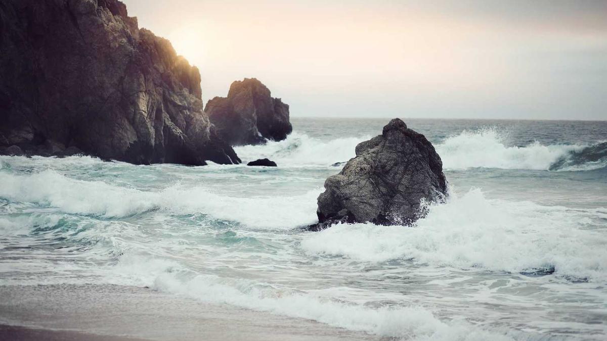 众信旅行社电话?