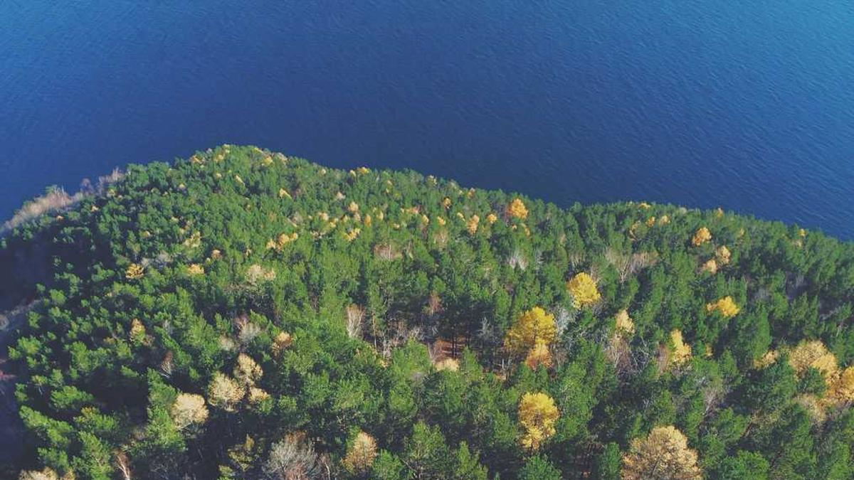 妹子总是约不出来怎么办?