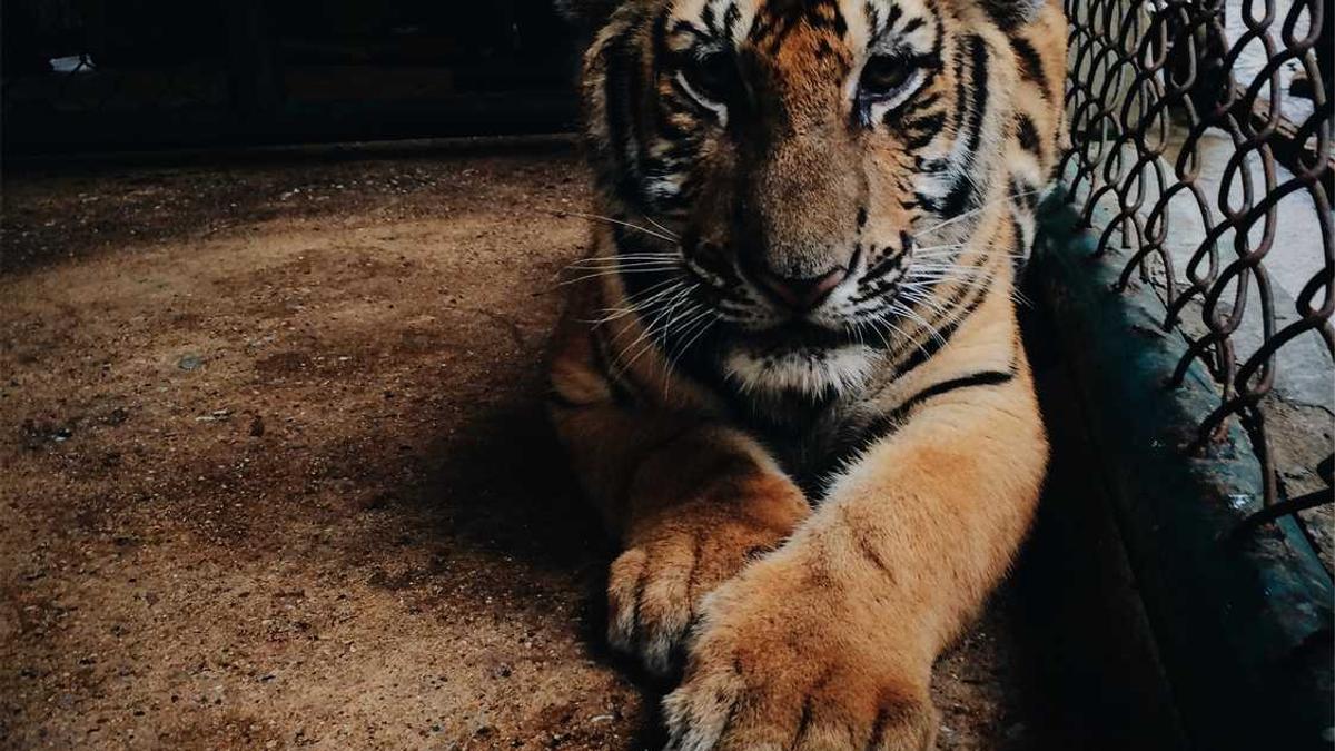 大唐沐足工资待遇怎么样