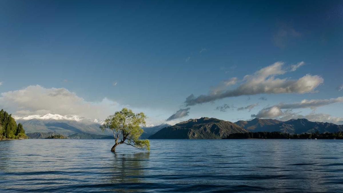 生活就是哄自己,把自己劝明白,什么都解决了