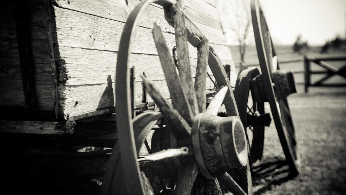 生活真的就是自己哄自己呢,只要把自己哄得内心安宁了,是不是一切难题都...