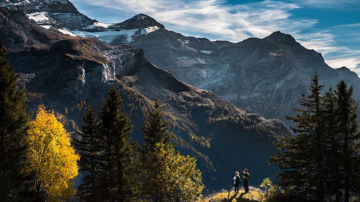 佳木斯快乐舞蹈健身操要求