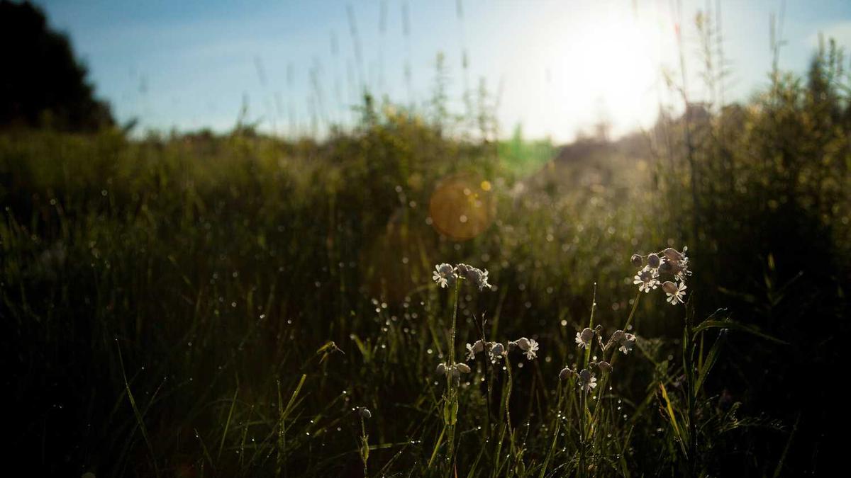 重庆位于哪个省
