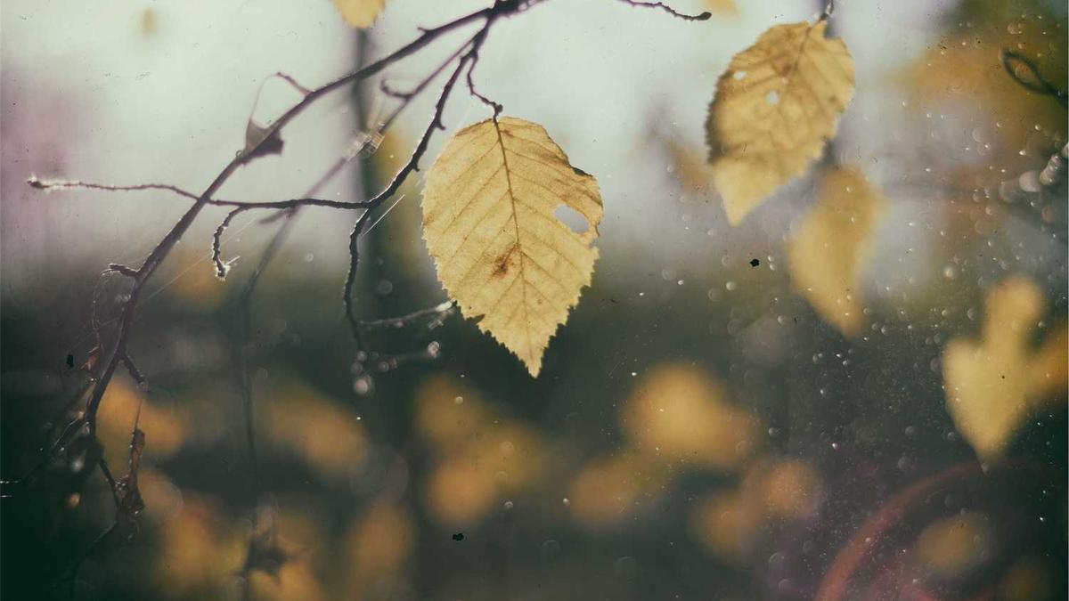 合肥2025年城乡居民养老保险缴费几月份开始缴费