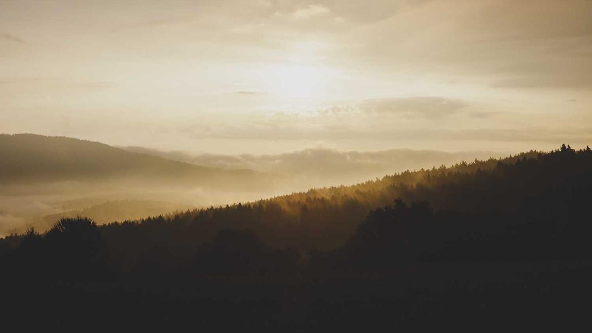 大庆是哪个省会的城市?