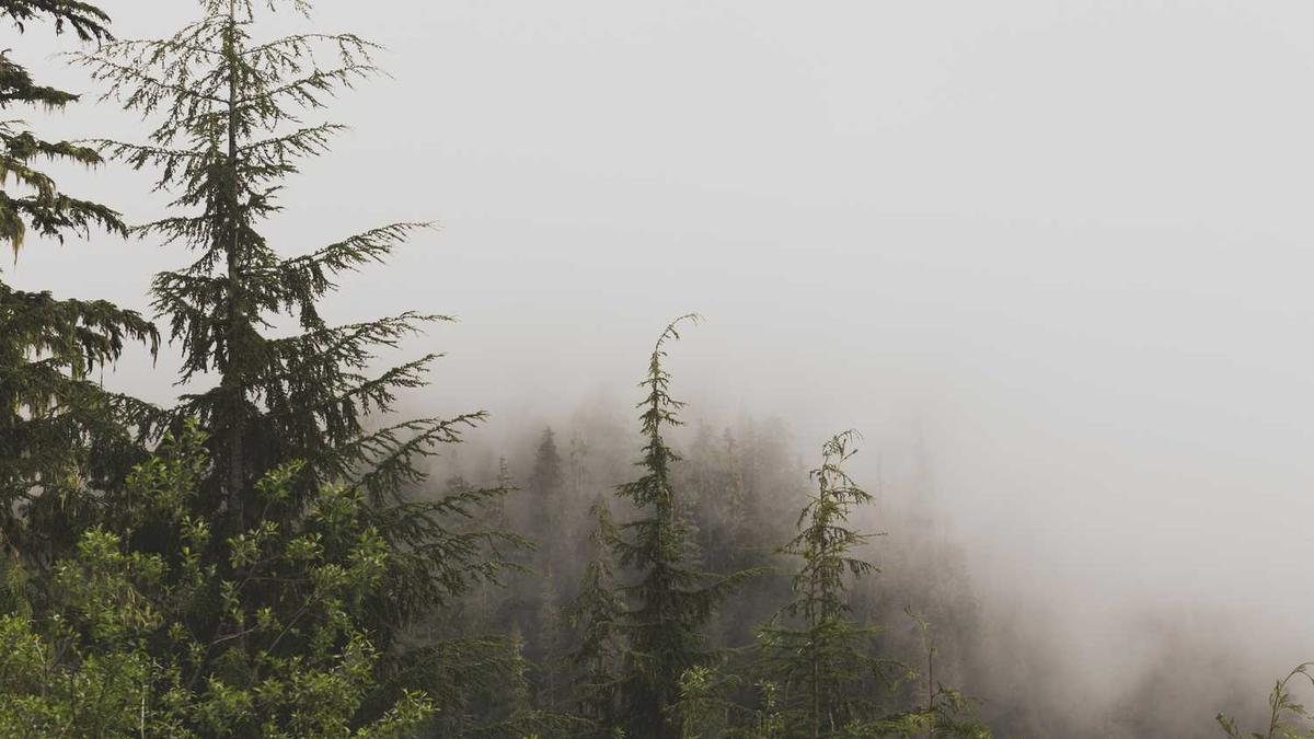 上海北高人才公寓的实际租金