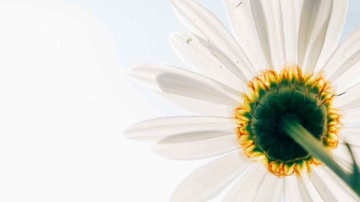 上海买公寓多少钱一平米