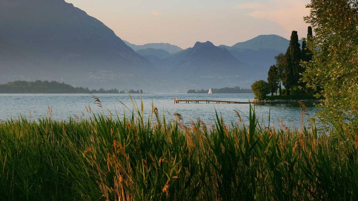 朝阳市有多少个市辖区?