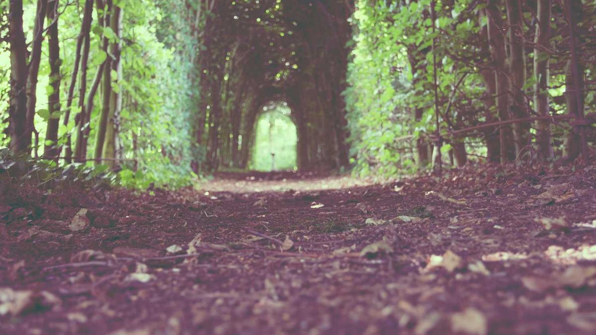 一百超市现在是不是全都破产结业了