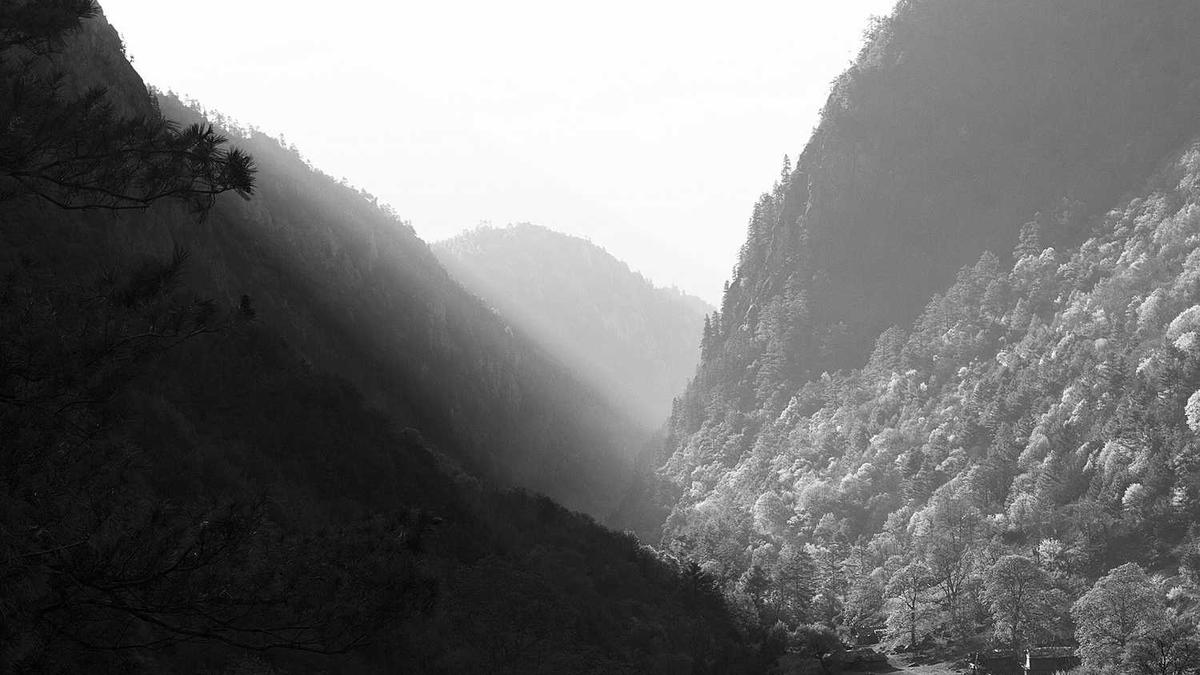 广东江门天气预报