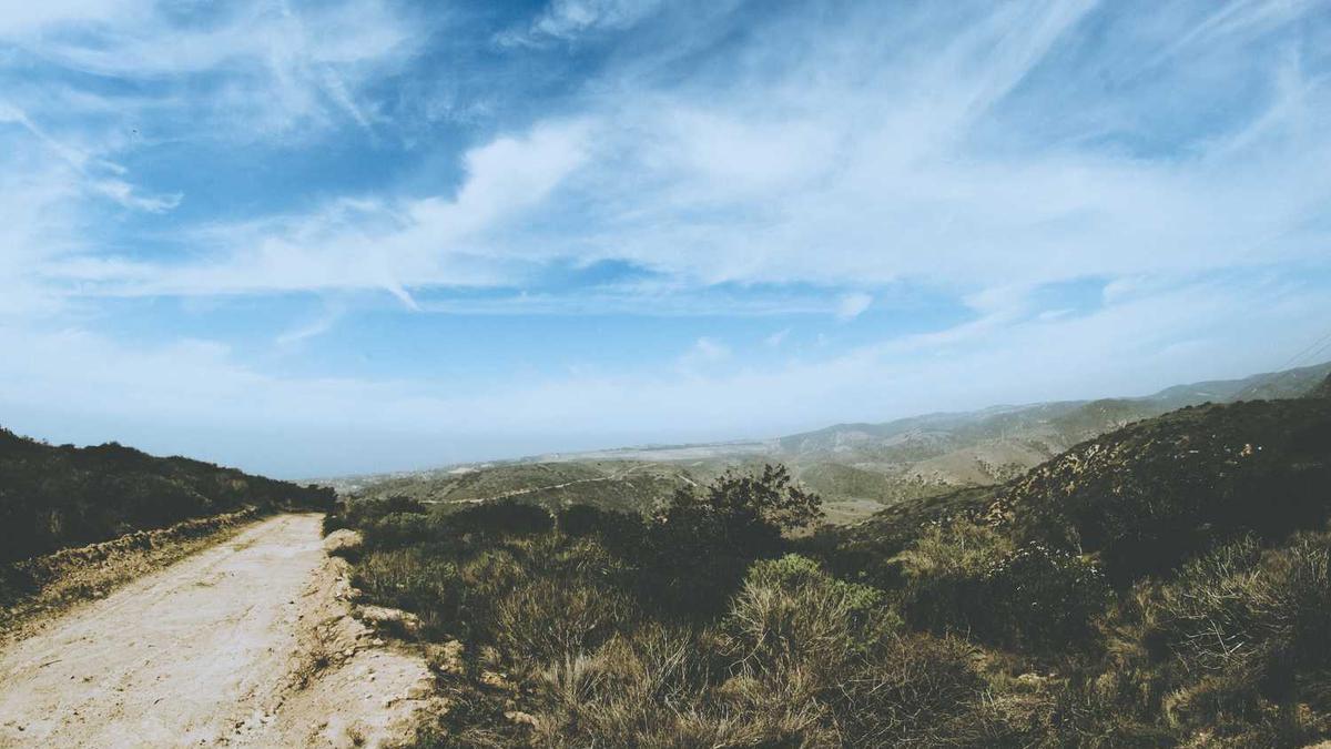 上海虹桥一号小区117平方米公寓房屋价格