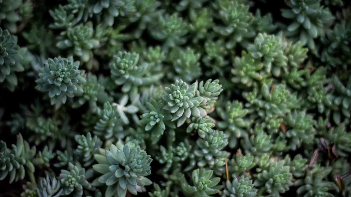 长春燃气缴费网点有哪些?麻烦详细说一下。