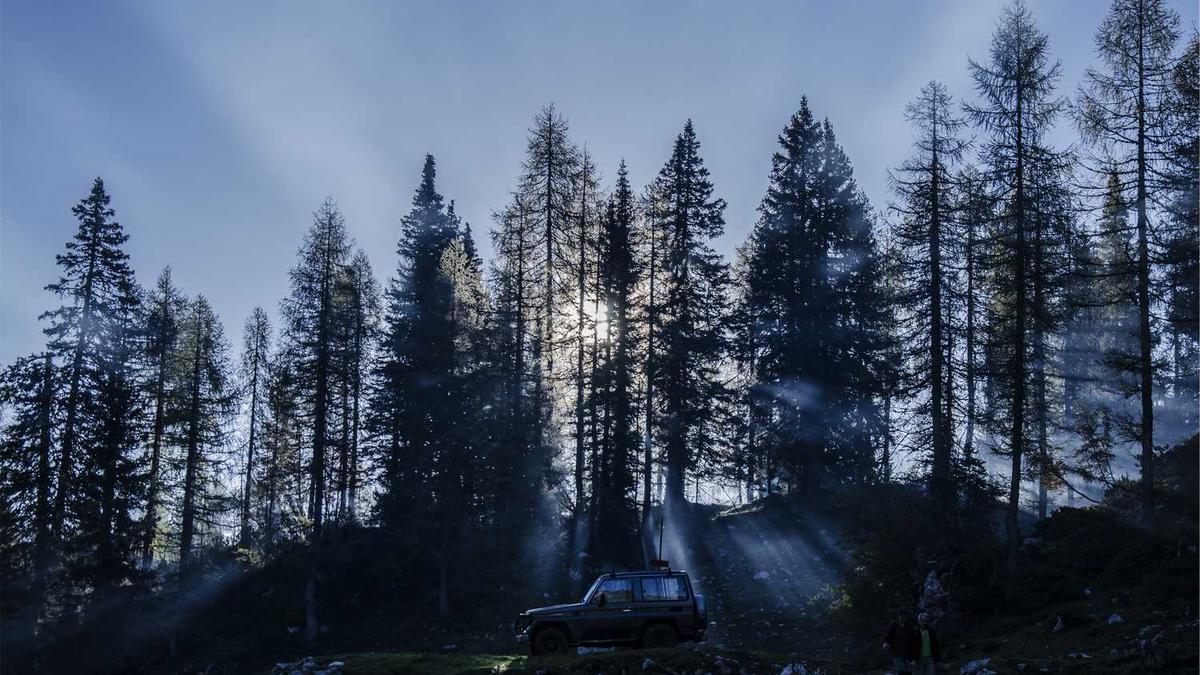 济宁市有几个区县