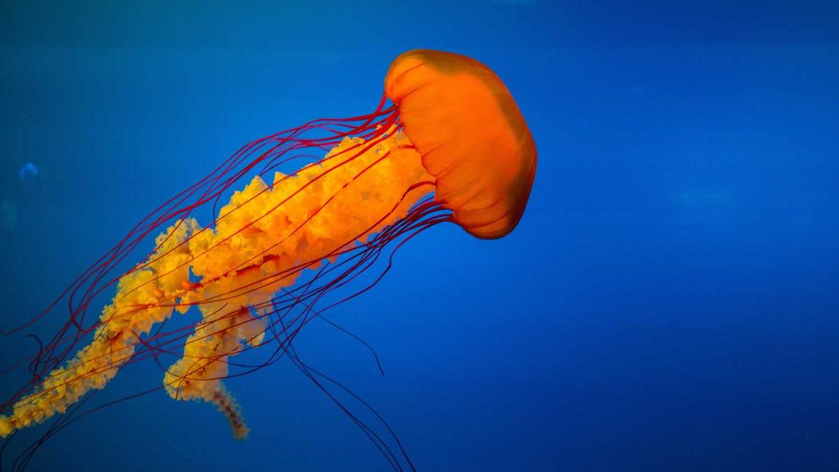 珠海天气预报15天查询准确度高吗