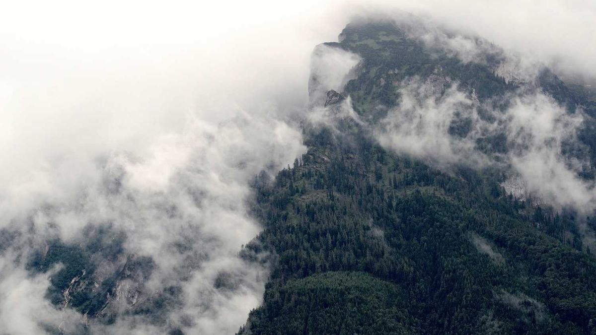 万绿湖位于河源什么位置