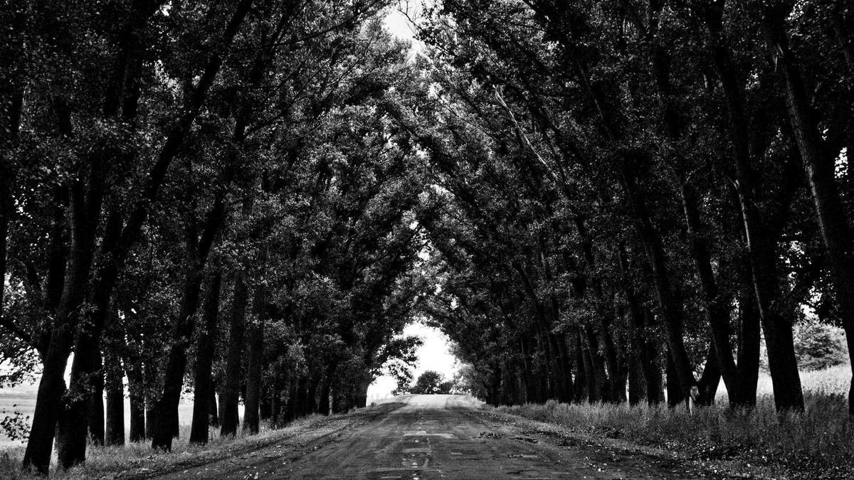 超颖电子能赚多少钱