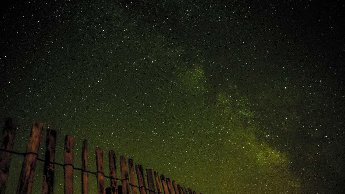 来宾和嘉宾的意思区别