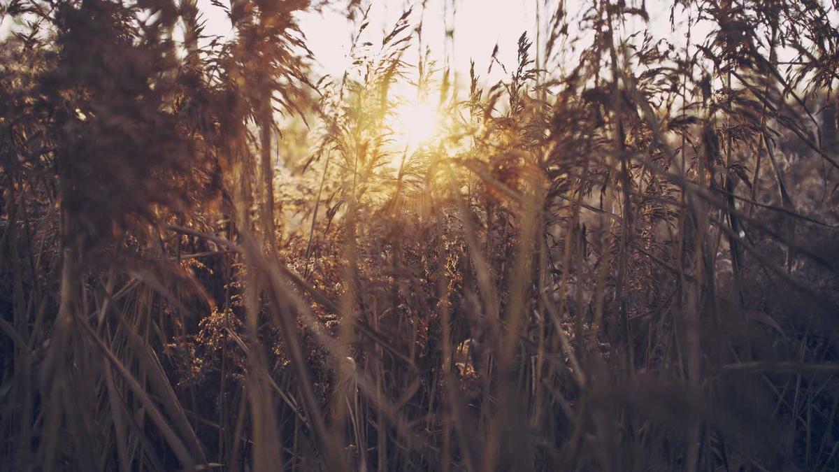 江苏省泰州市十大特产排名