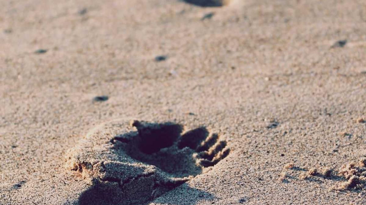 乌海职业技术学院怎么样