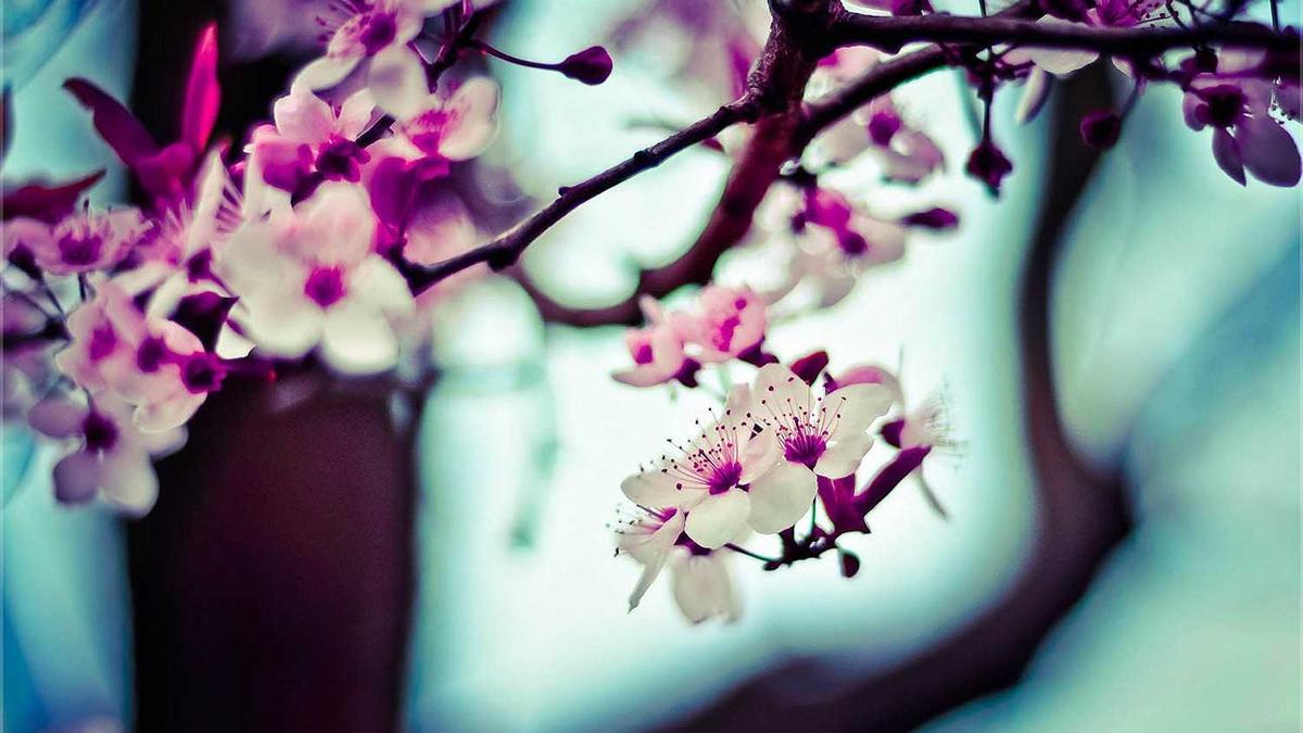 厦航基地有哪些